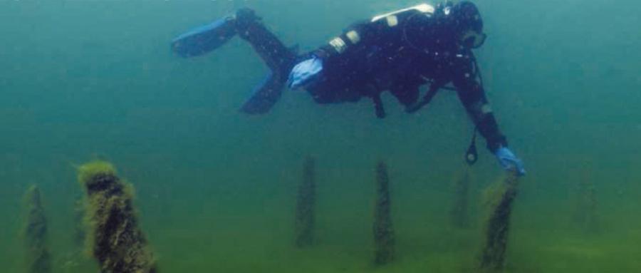 AIX-LES-BAINS  | Lac du Bourget : un trésor vieux de 3 000 ans menacé !