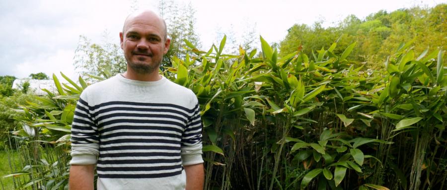 LORNAY | Des jardins qui réhabilitent le bambou comme plante écologique par nature ! 