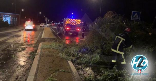 DOUSSARD | (VIDEO) Après la tornade, l’ONF au chevet de la forêt communale