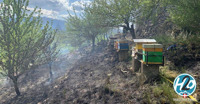 TALLOIRES-MONTMIN | (🎞 PHOTOS) 🔥 INCENDIE : 6.000m² de végétation partent en fumée.