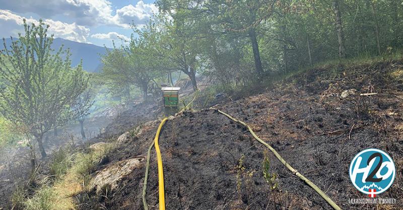 TALLOIRES-MONTMIN | (🎞 PHOTOS) 🔥 INCENDIE : 6.000m² de végétation partent en fumée.