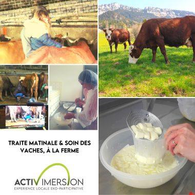 LA CHAPELLE-SAINT-MAURICE | Traite et soin des vaches