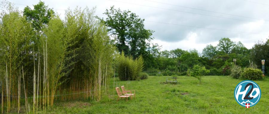 LORNAY | Des jardins qui réhabilitent le bambou comme plante écologique par nature ! 