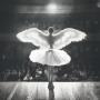 The Ballet Girl
