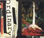 Ordinary World